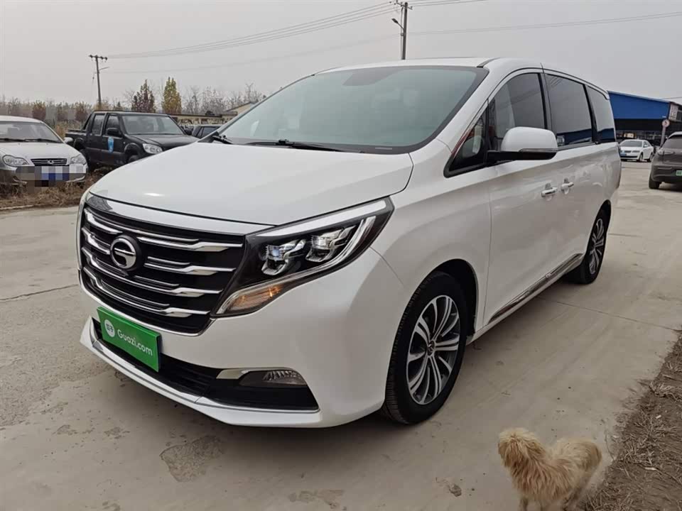 Trumpchi Trumpchi M8