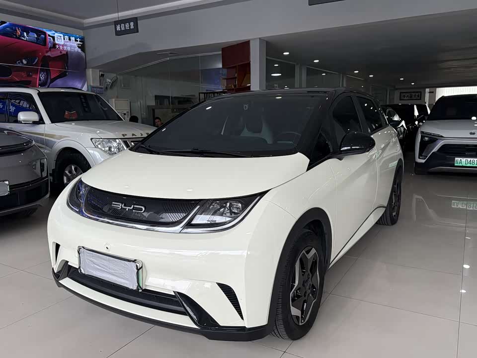 BYD dolphin