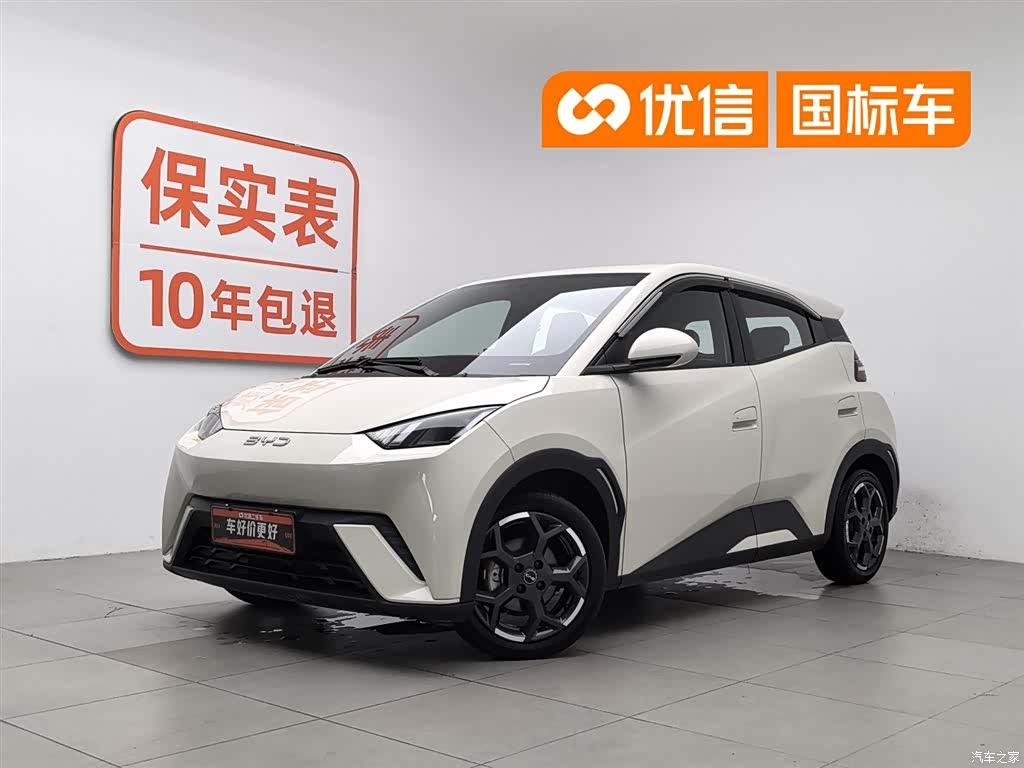 BYD Seagull, 2024 1