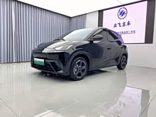 ��Ÿ 2023�� ���ɰ�