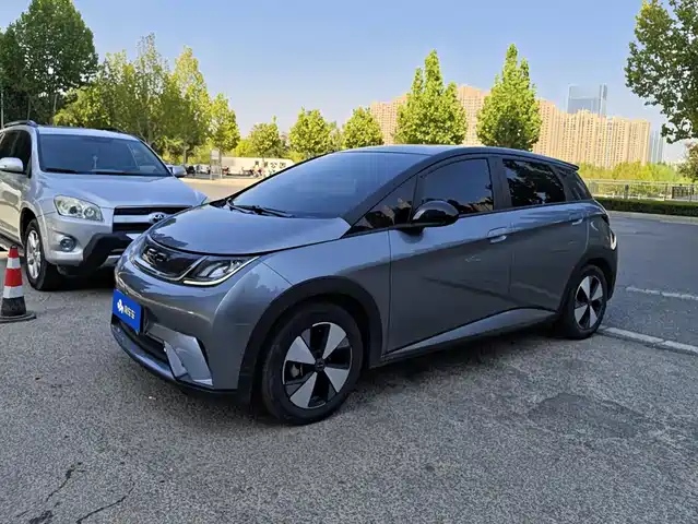 BYD Dolphin 2023 — купить из Китая под заказ