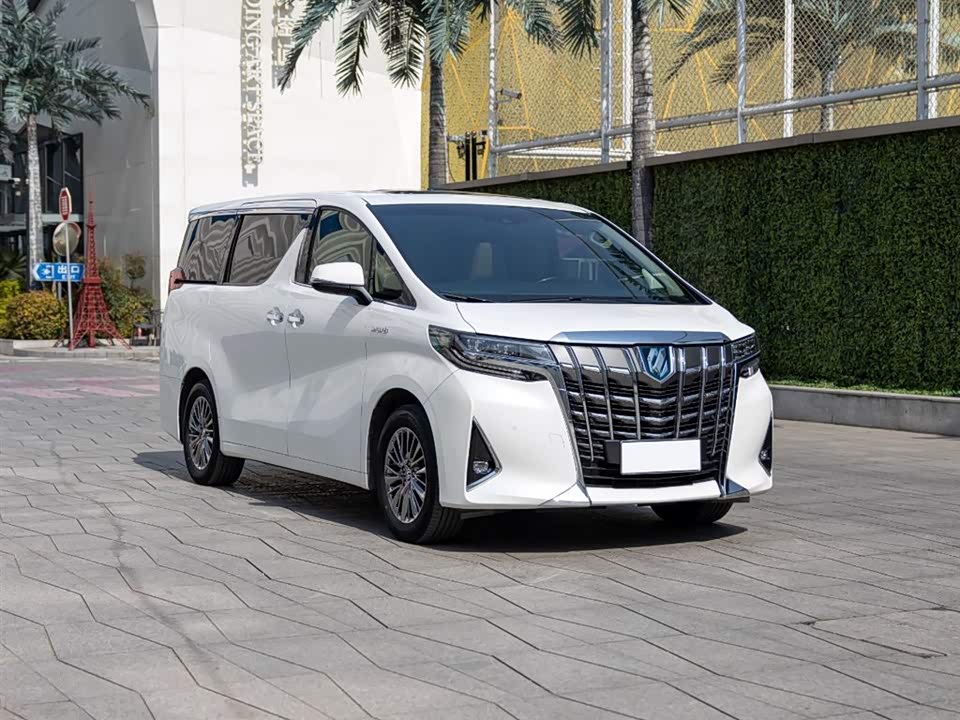 Toyota Elfa