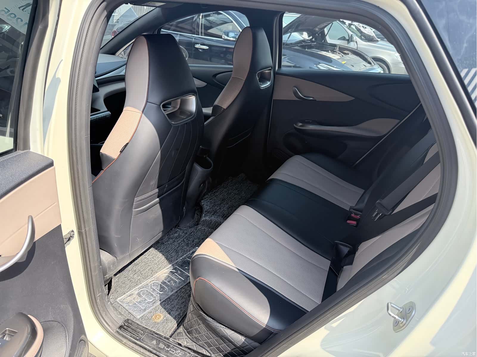 BYD Dolphin, 2023 все фото