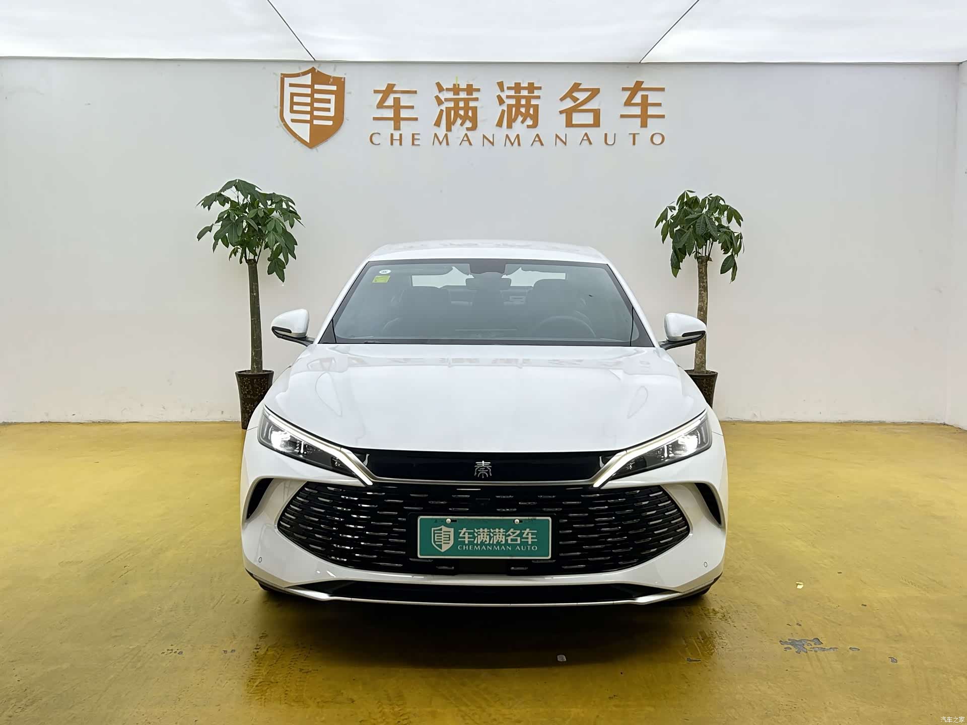 BYD Qin, 2026 2