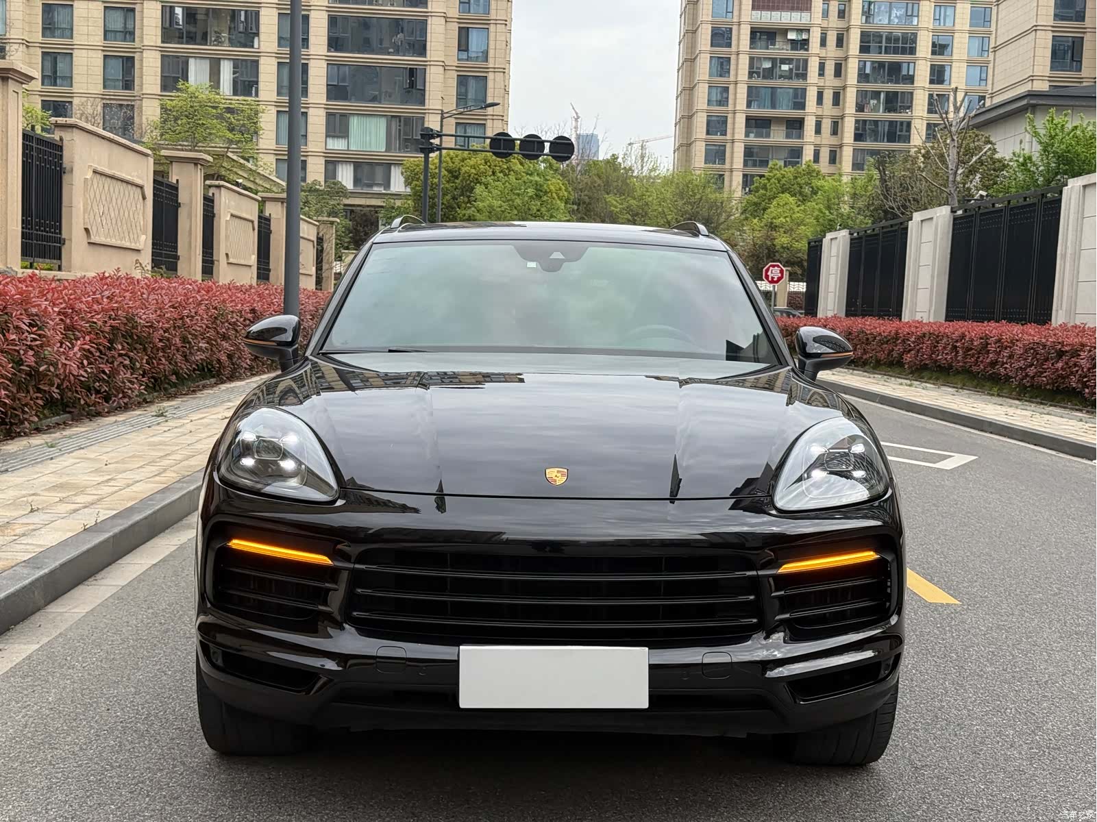Porsche Cayenne, 2020 все фото