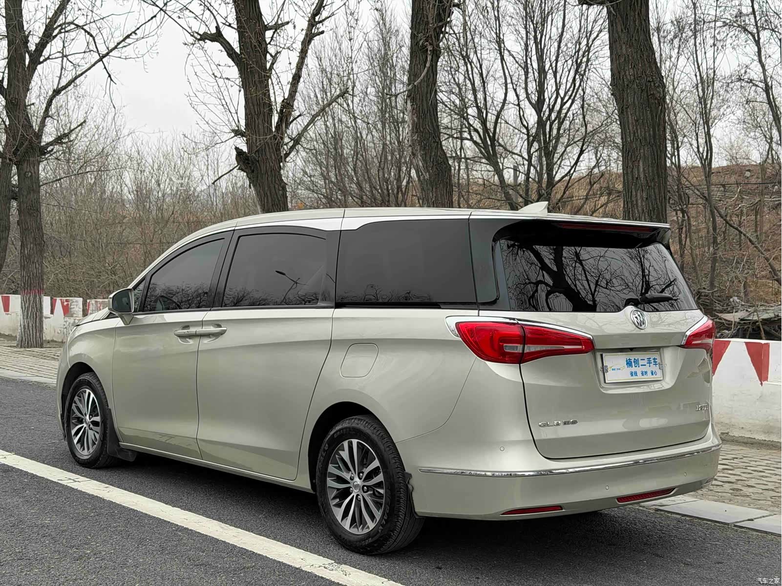 Buick GL8, 2019 10