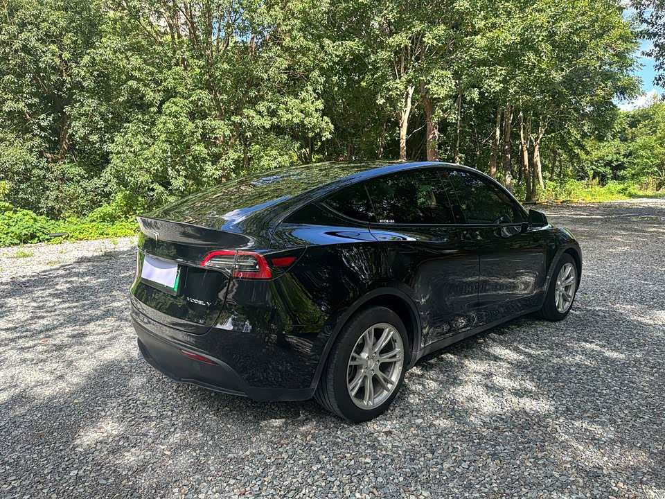 Tesla Model Y Tesla Model Y
