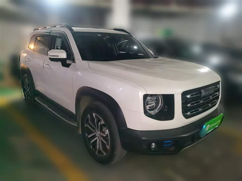 Haval Big dog