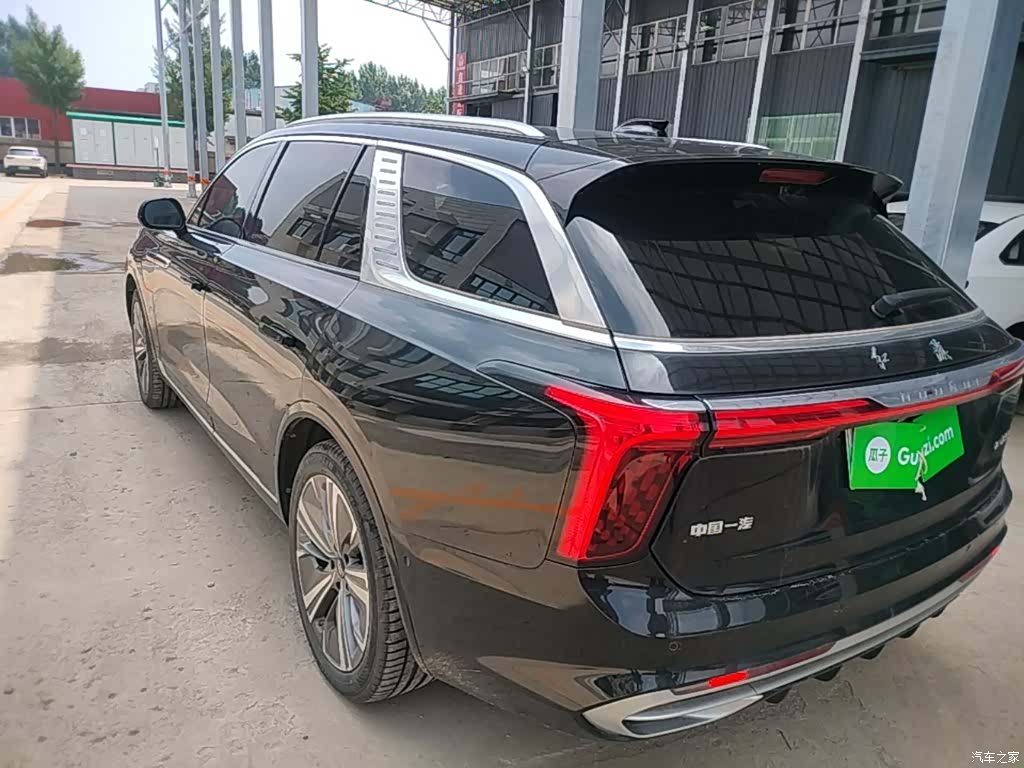 Hongqi E-HS9, 2023 все фото