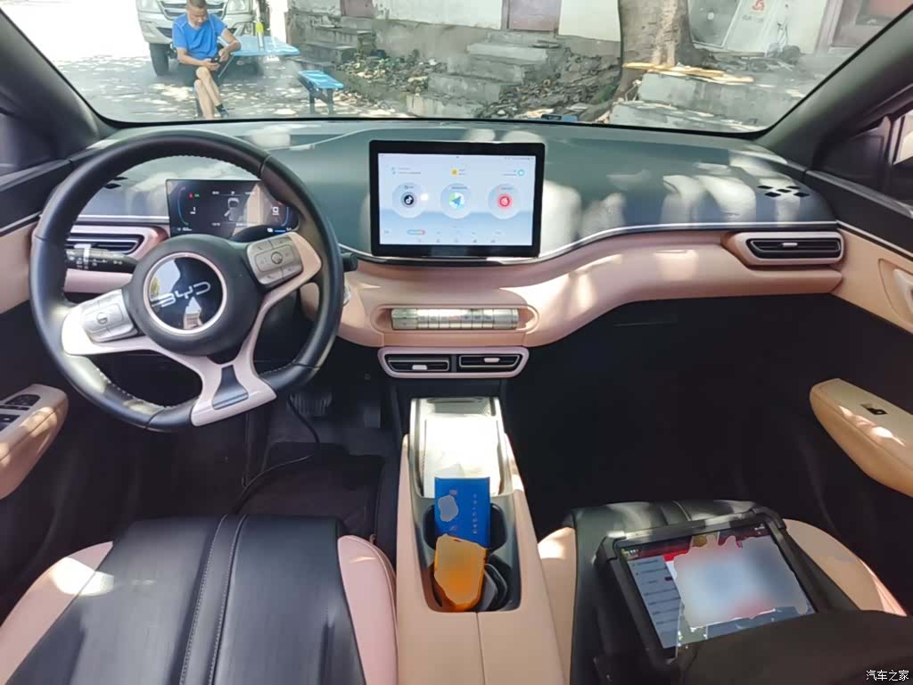 BYD Seagull, 2024 10