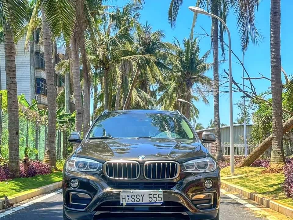 BMW X6