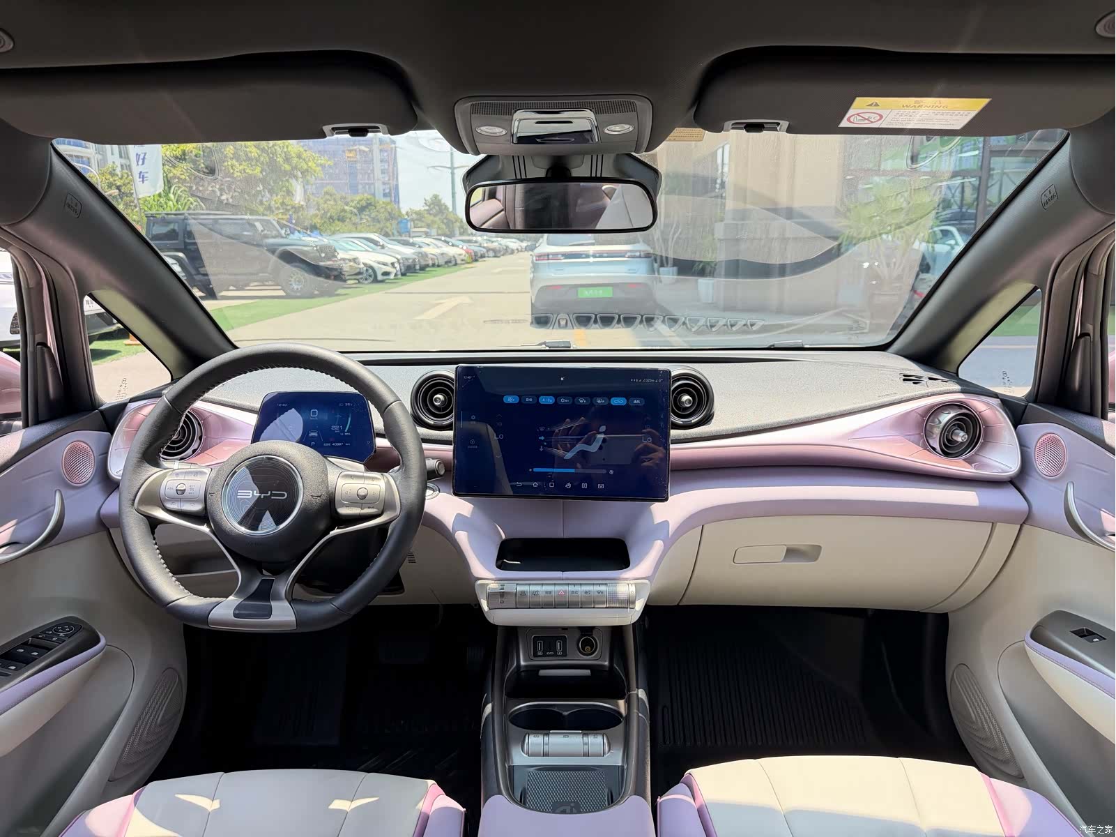 BYD Dolphin, 2021 6