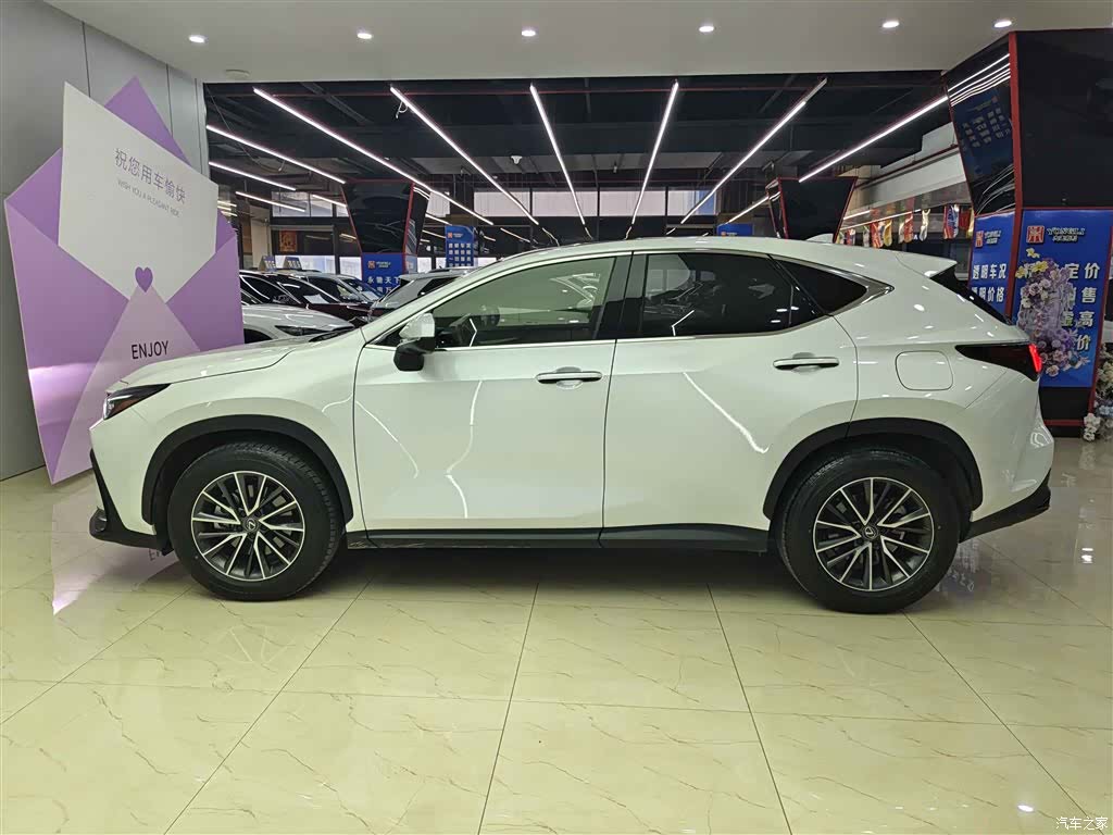 Lexus NX, 2023 7