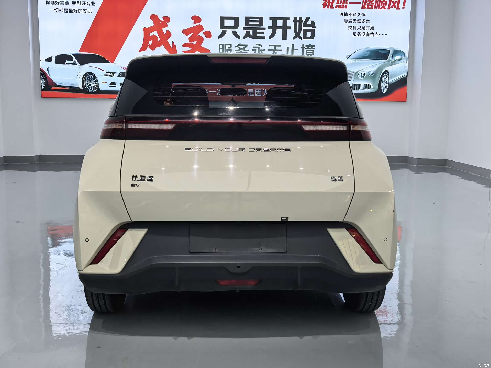 BYD Seagull, 2024 8