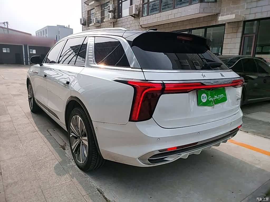Hongqi E-HS9, 2023 все фото