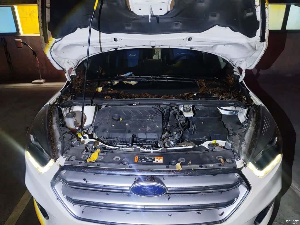 Ford Kuga, 2018 17