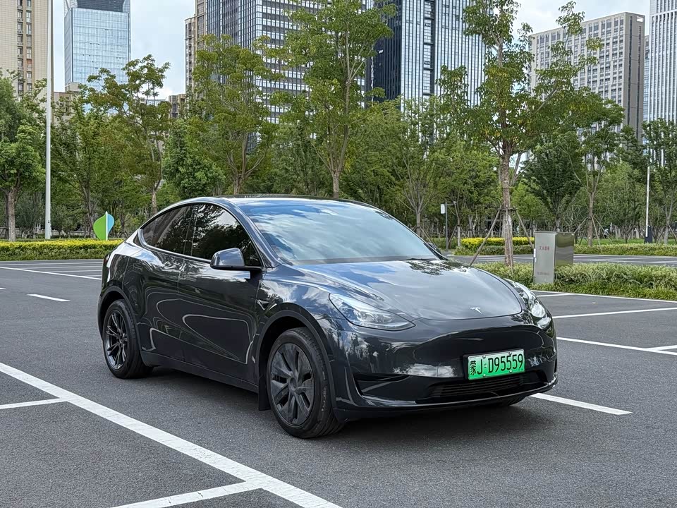 Tesla Model Y Tesla Model Y