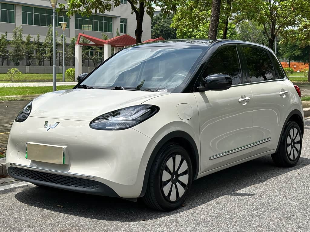 Wuling Binguo