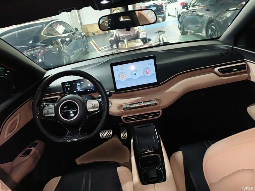 BYD Seagull, 2023 10