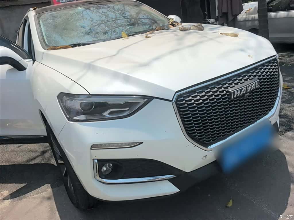 Haval F5, 2018 4