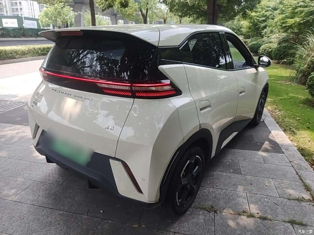 BYD Seagull, 2024 7