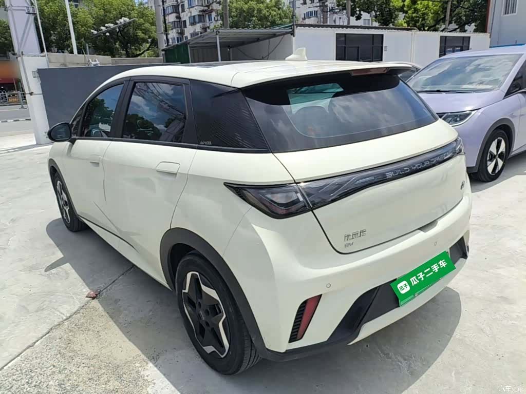 BYD Dolphin, 2023 все фото