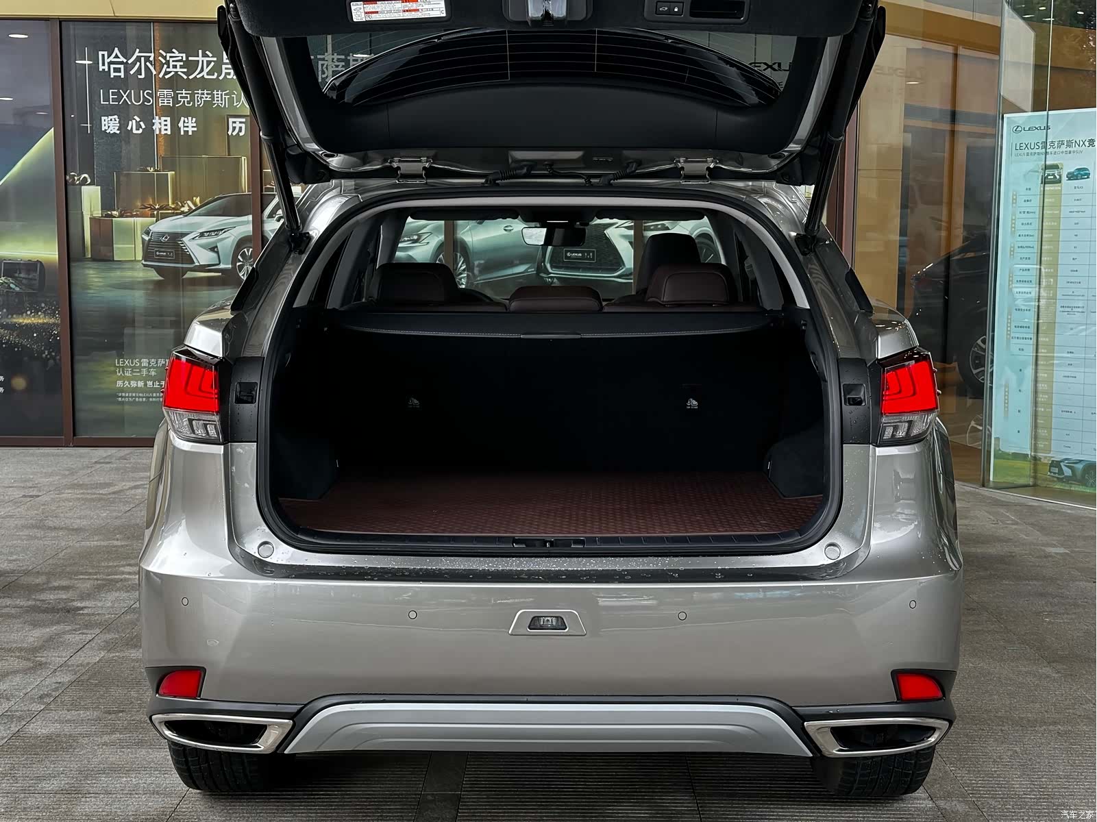 Lexus RX, 2021 15