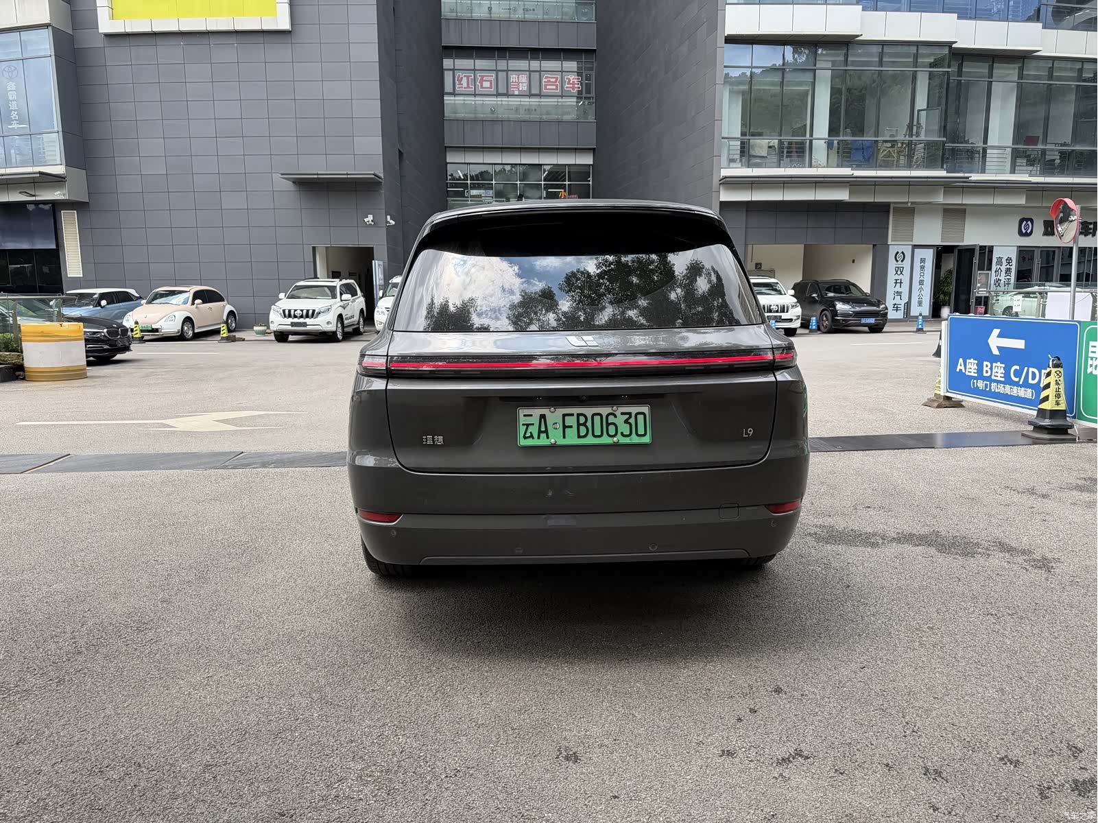 Li Auto L9, 2022 8