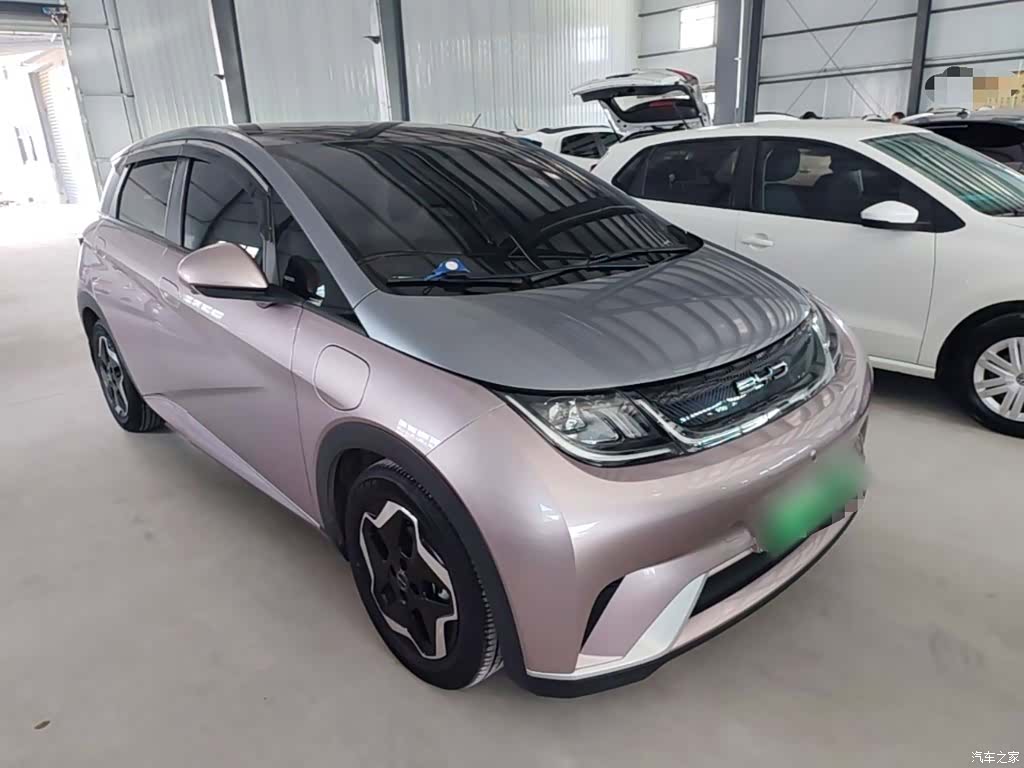 BYD Dolphin, 2022 4