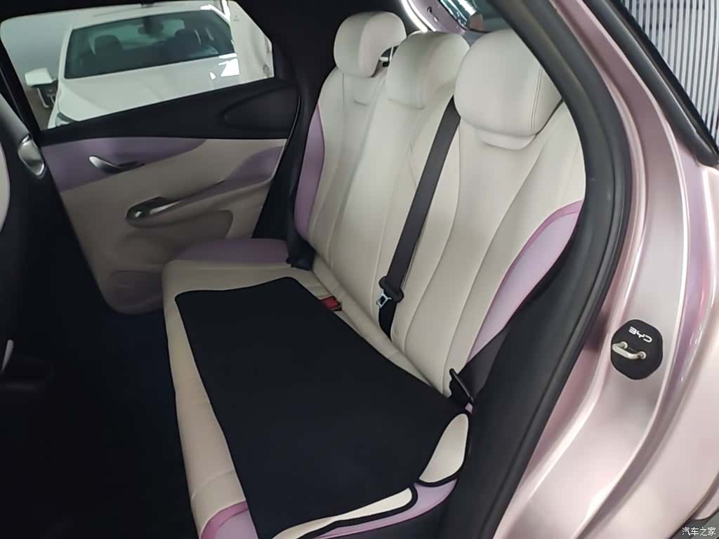 BYD Dolphin, 2022 17