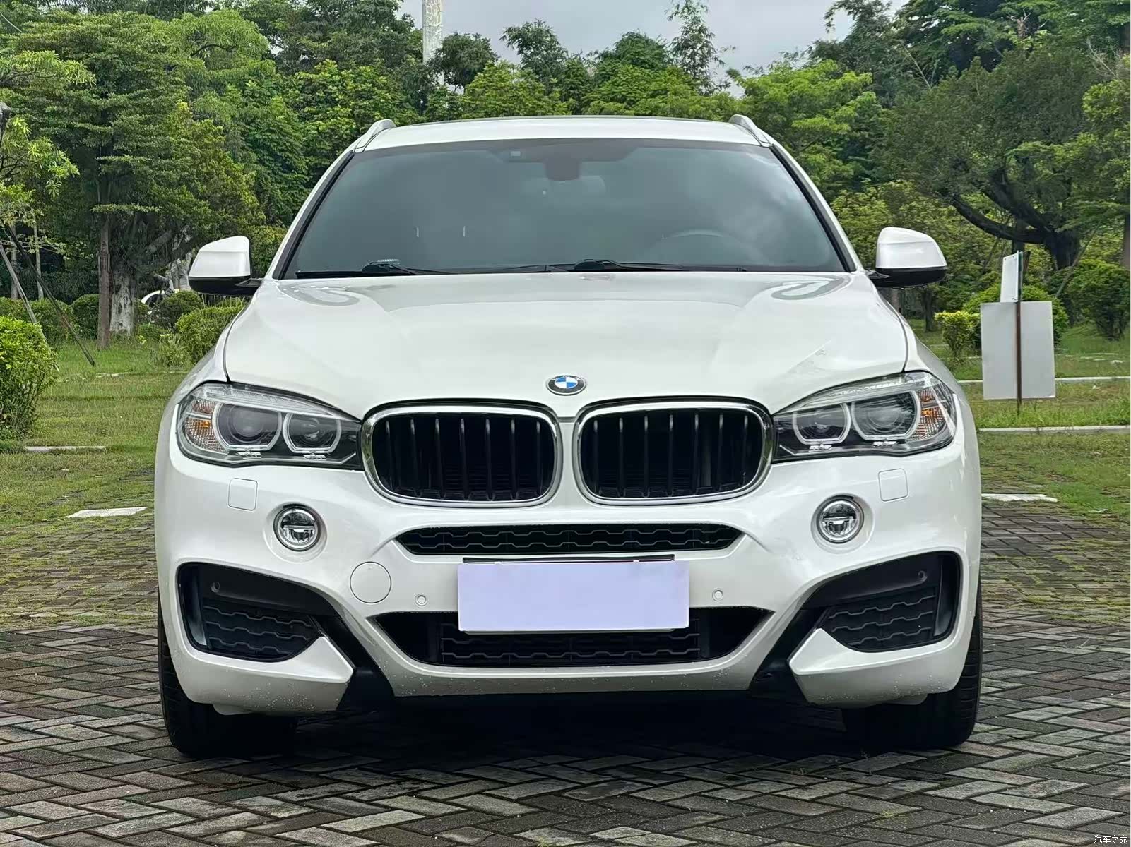 BMW X6, 2019 2