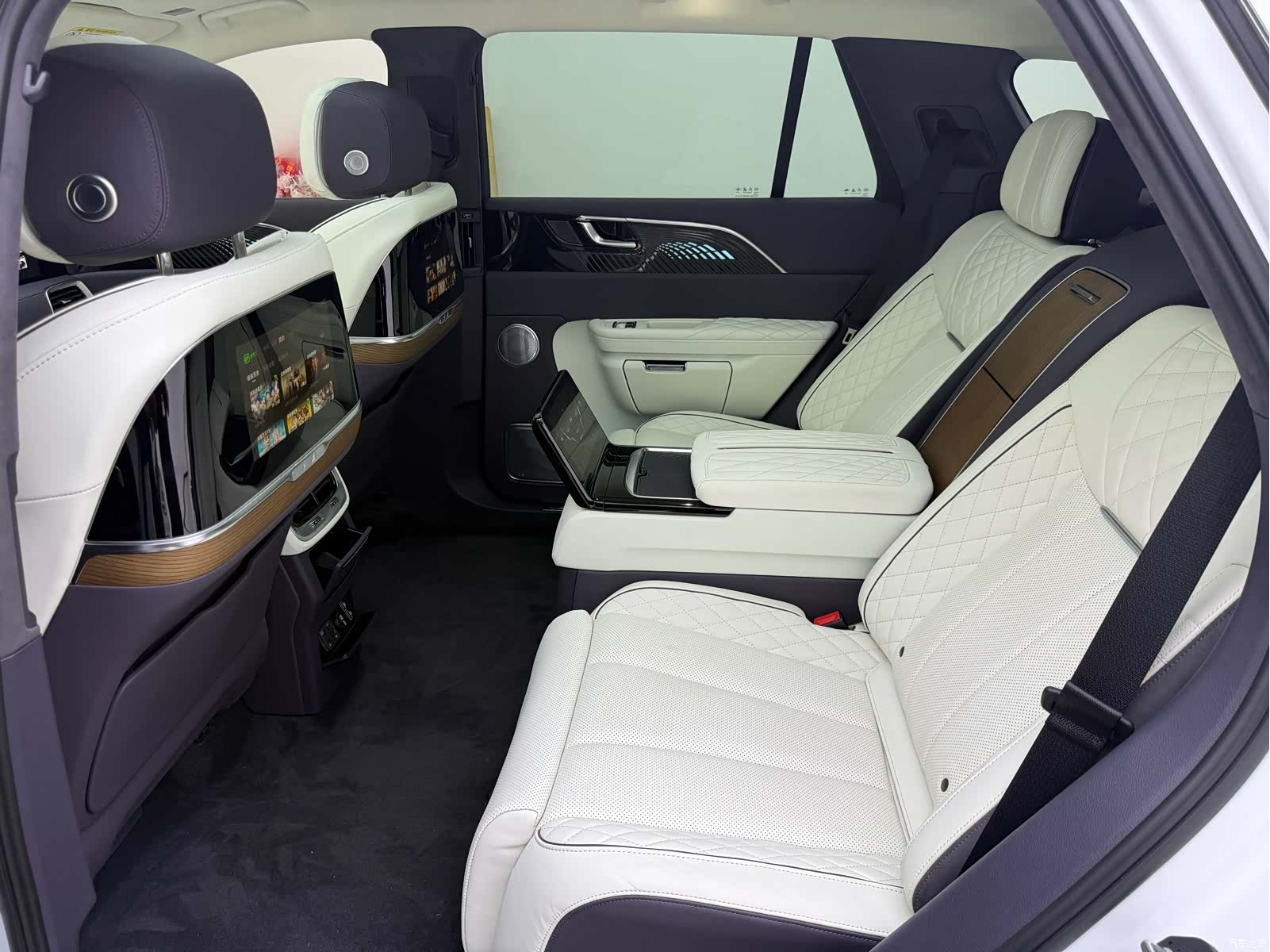 Hongqi E-HS9, 2023 15