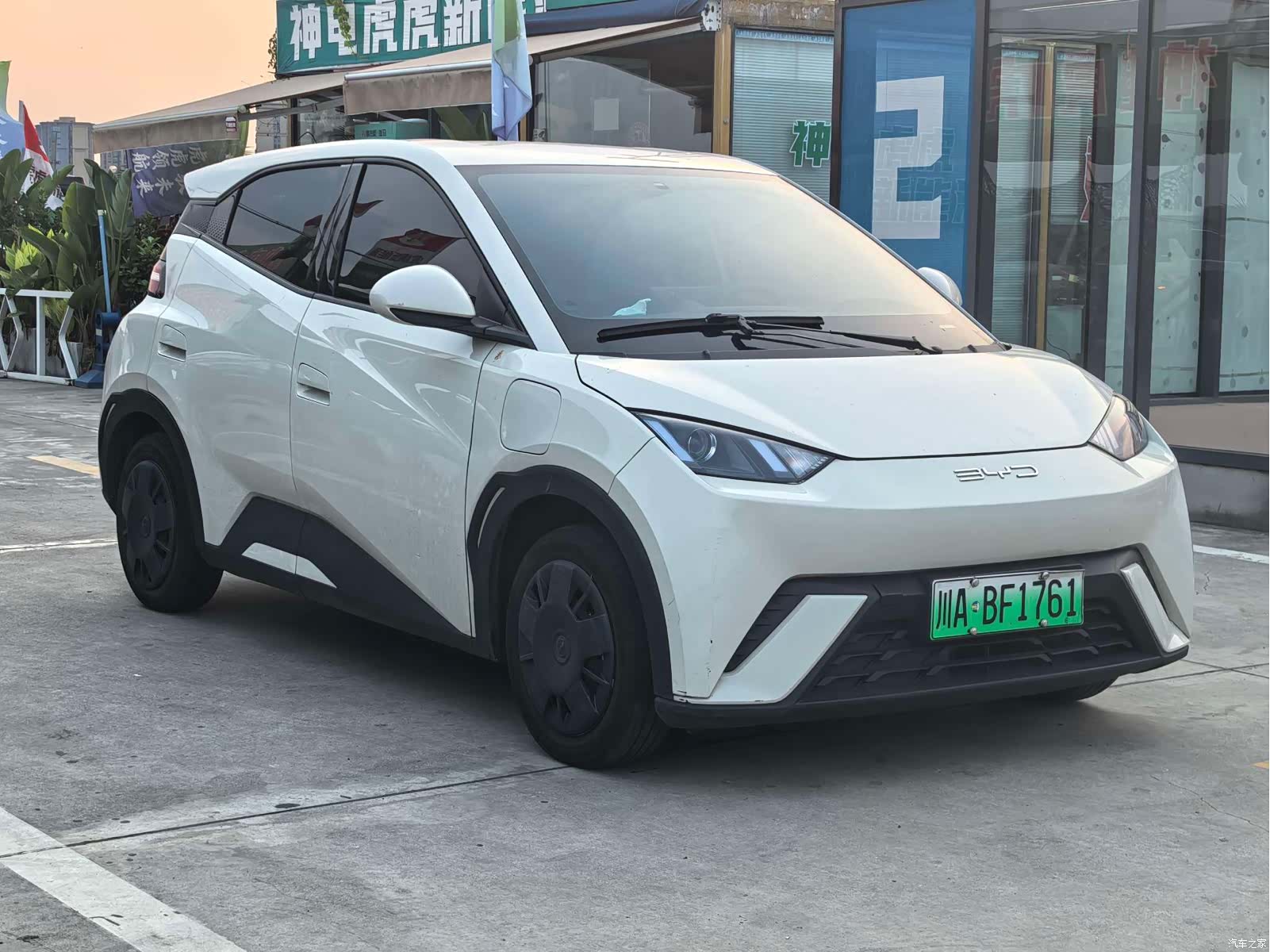 BYD Seagull, 2024 3