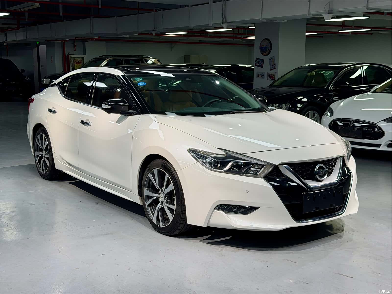 Nissan XL, 2017 3