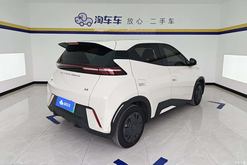 BYD Seagull, 2024 3