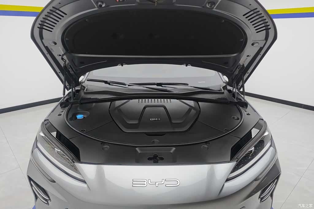BYD Song, 2024 10