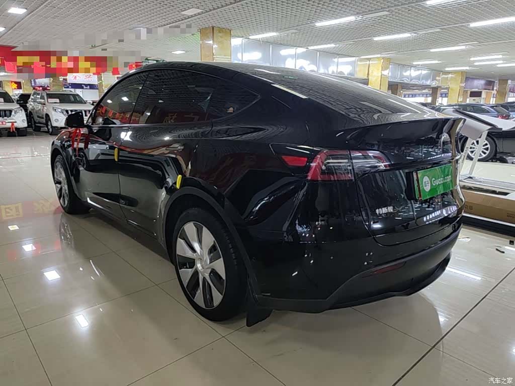 Tesla Model Y, 2023 все фото