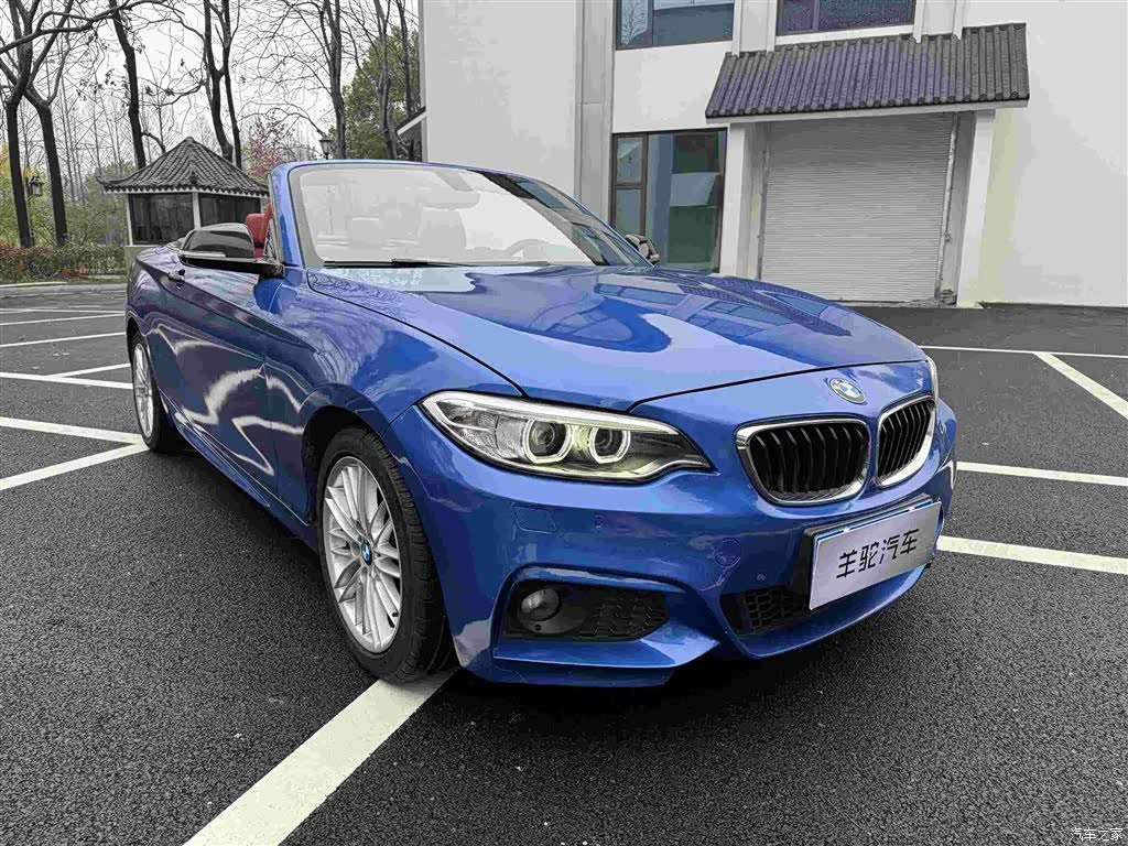 BMW 2 Series, 2015 4
