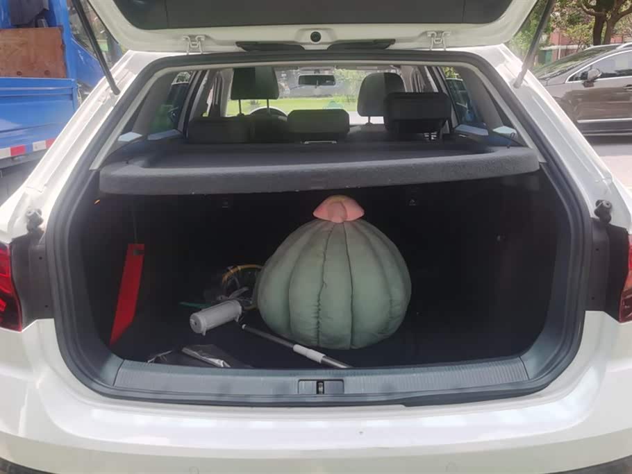 Volkswagen C-TREK Wei Collar