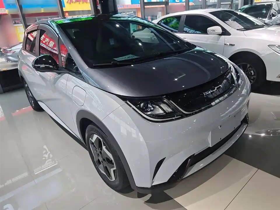 BYD dolphin