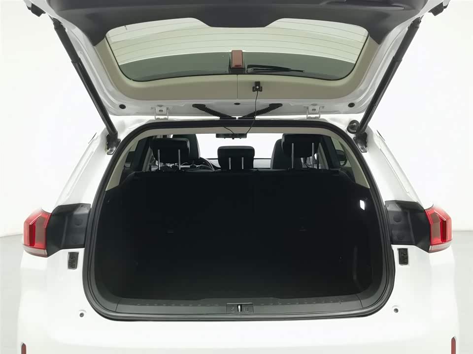 Weipai VV6