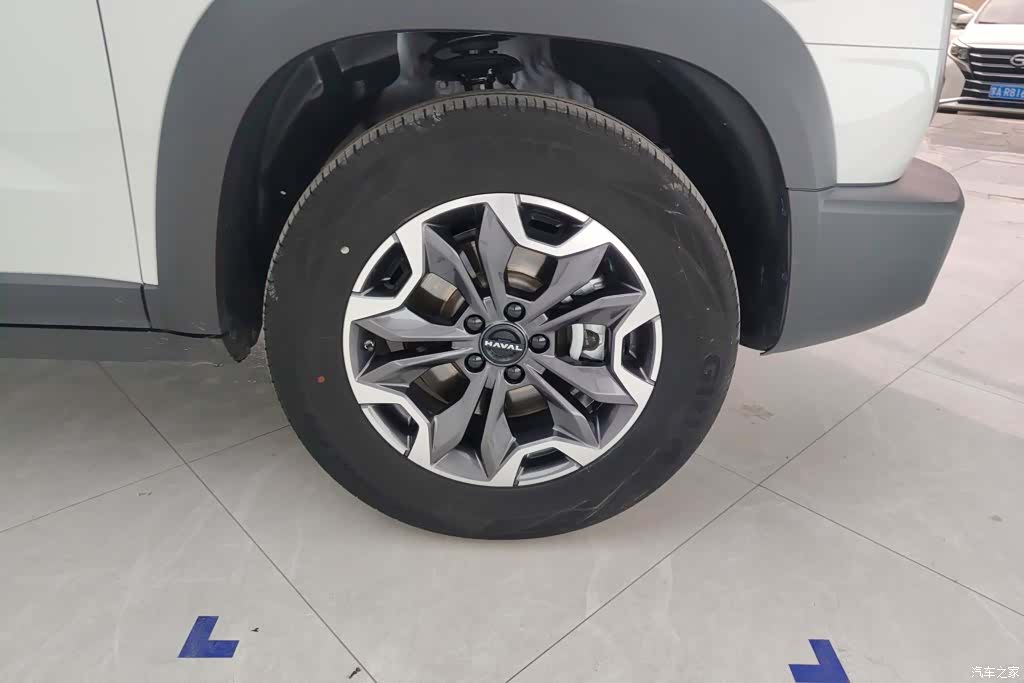 Haval Big Dog, 2025 6