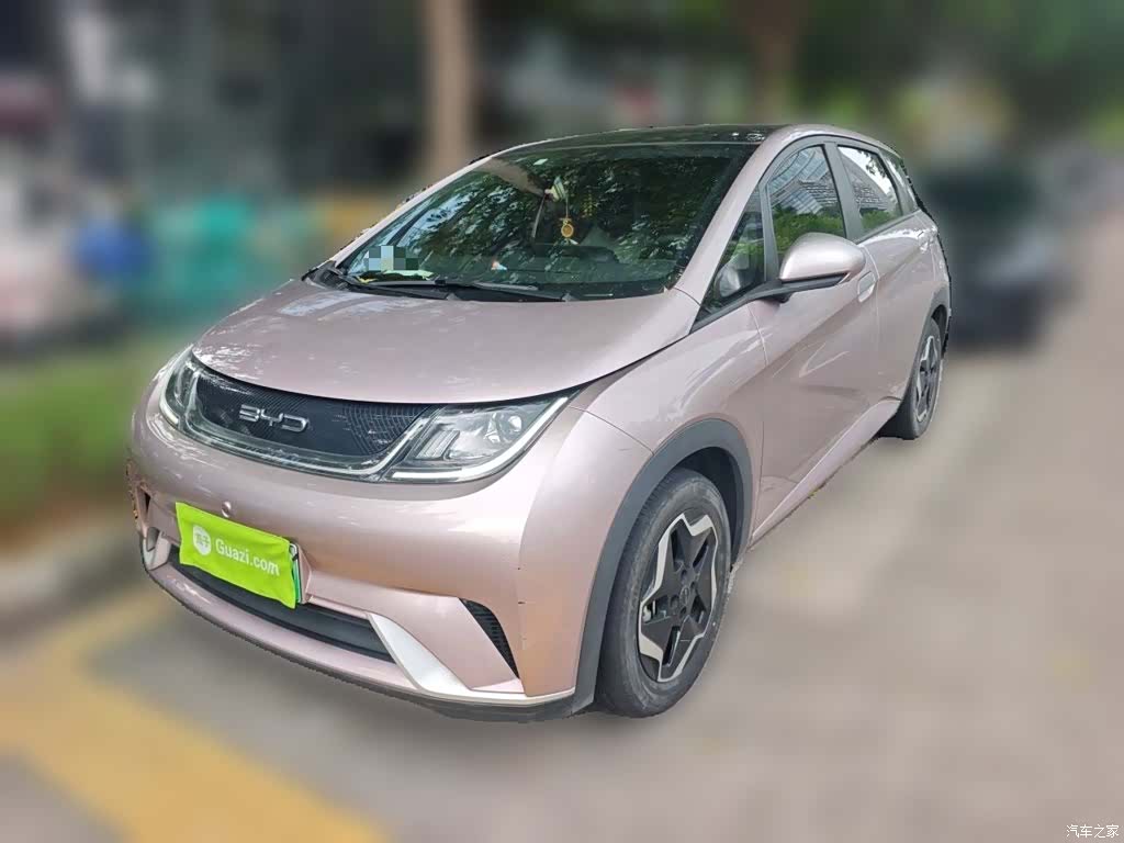 BYD Dolphin, 2022 1