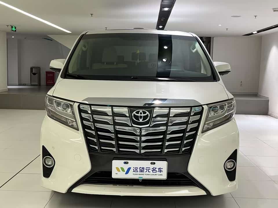 Toyota Elfa