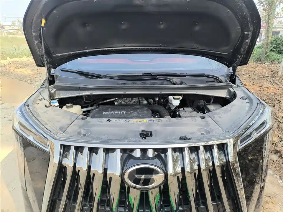 Trumpchi Trumpchi M8