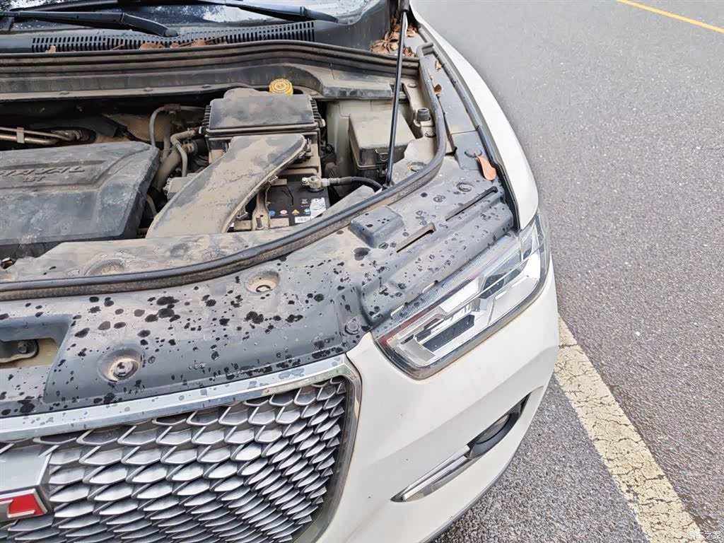Haval H2, 2018 22