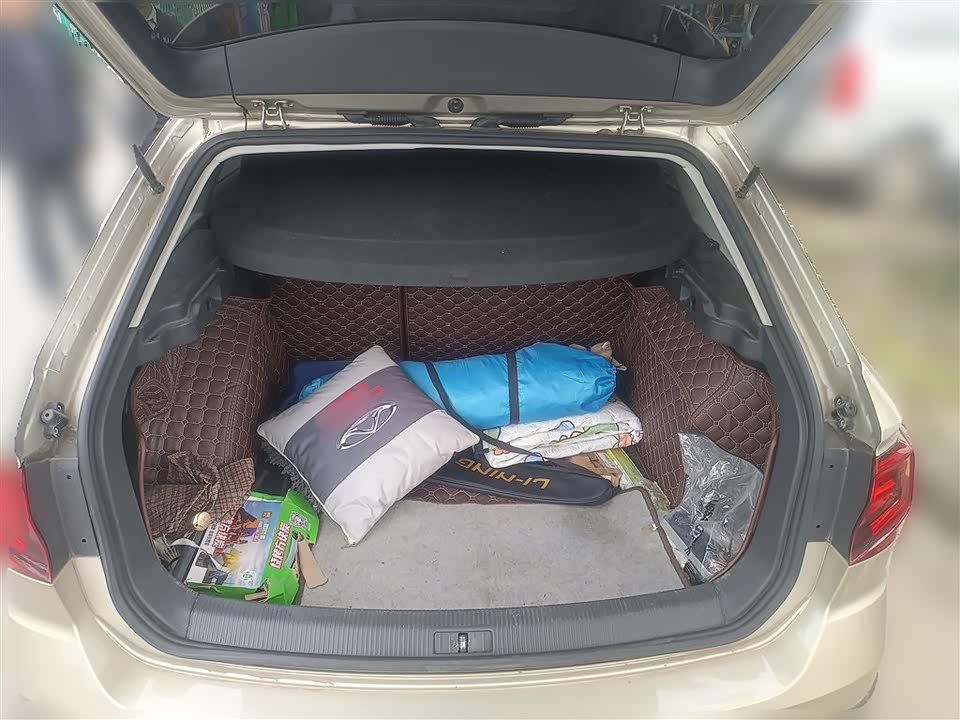 Volkswagen C-TREK Wei Collar