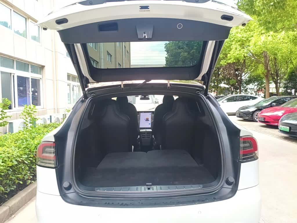 Tesla Model X, 2020 19