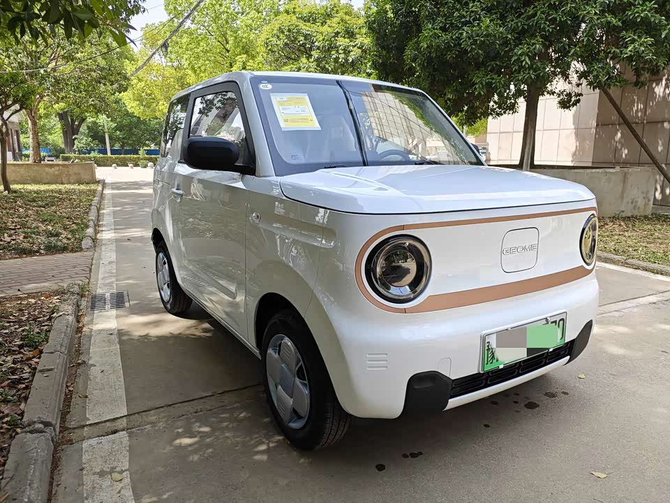 Geely Galaxy panda