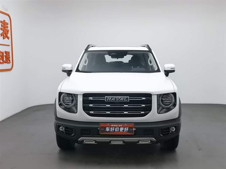 Haval Big dog